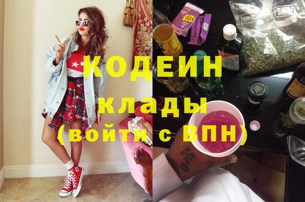 шишки Пересвет