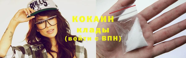 соль ск Абаза
