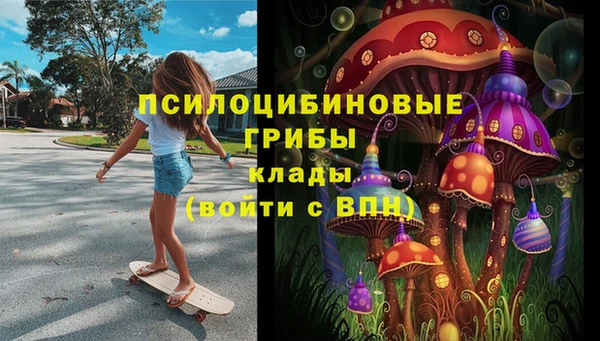 соль ск Абаза